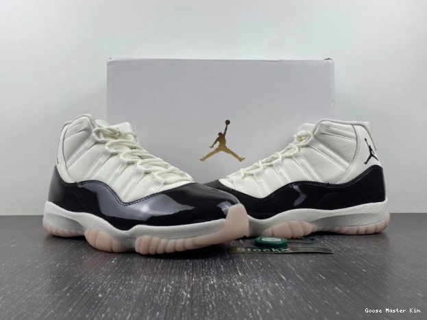 11 Jordan AR0715-101 Air Neapolitan 0519